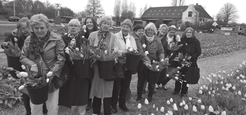 Activiteiten senioren In Schalkwijk is meer te doen dan u denkt en informatie hierover is op allerlei manieren beschikbaar.