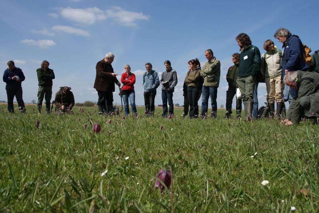 Beheer en herstel van kievitsbloemlanden Verslag veldwerkplaats ----Rivierenlandschap Rouveen, 19 april 2010 Inleiders: Albert Corporaal (WUR), Loekie van Tweel (Landschap Overijssel), Ruben Kluit