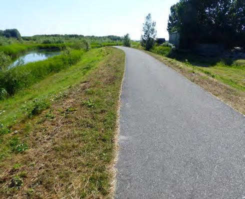 27 juni 2018: langs fietspad en langs noordzijde gemaaid, verder hoog riet met beetje luzerne en koolzaad.