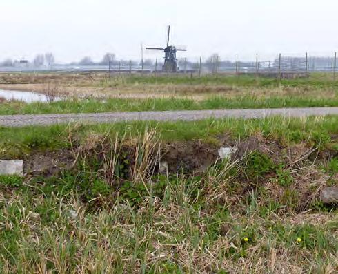 Links is het nieuw ingerichte deel langs het fietspad te zien.