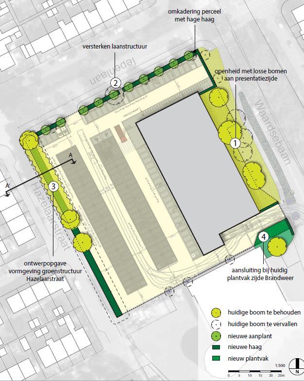 11 4 Conclusies en Aanbevelingen Afbeelding 16: Ontwerp BRO (bron BRO / R. Tak) 4.1 Algemeen De meeste bomen hebben gebreken. De reden is meestal dat de bomen ondergronds te weinig groeiruimte hebben.