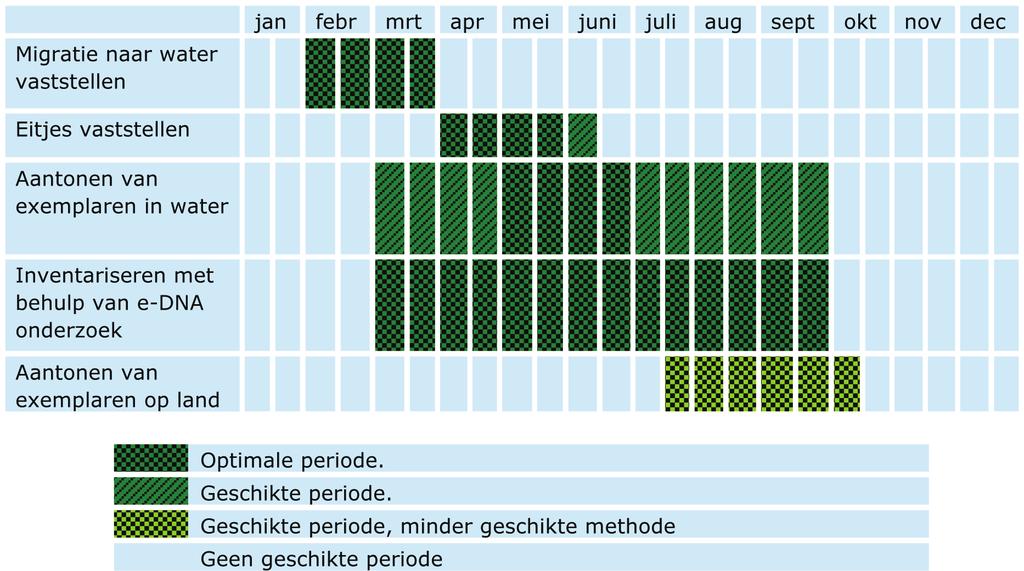 De eerste vochtige zwoele avonden met weinig wind en een temperatuur van minimaal circa 5 graden na een koude periode zijn het meest geschikt om na zonsondergang de dieren waar te nemen, bijvoorbeeld