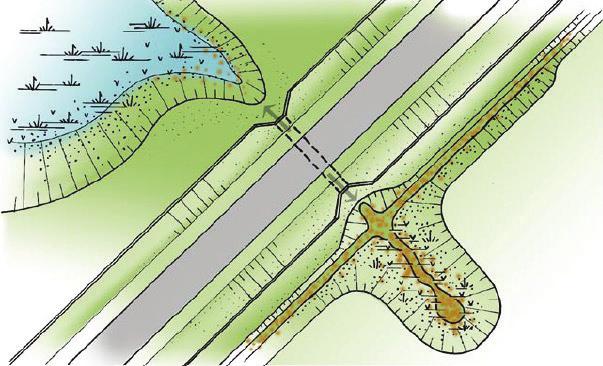 Figuur 18: Geleiding naar een amfibietunnel is noodzakelijk (bron: Leidraad faunavoorzieningen). Geleidende structuren naar de tunnelpassage zijn belangrijk.