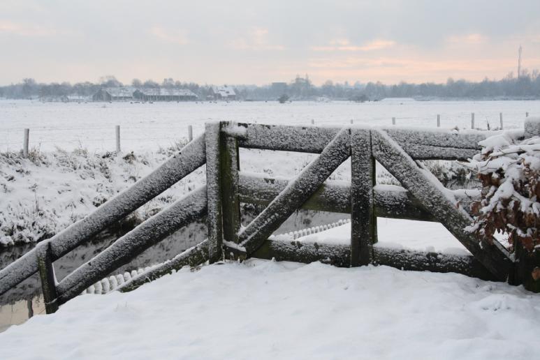 Fan de foarsitter Ek yn dit nûmer fan de Tille begjinne wy wer mei in winterske foto dy t yn dizze omkriten makke is troch ús drukker fan de Tille.