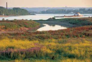 het project < De Millingerwaard vanaf de noordelijke Waaloever [07] Levende rivieren In 1990 gaf Rijkswaterstaat enkele hectaren in de Millingerwaard in beheer bij Stichting Ark die een