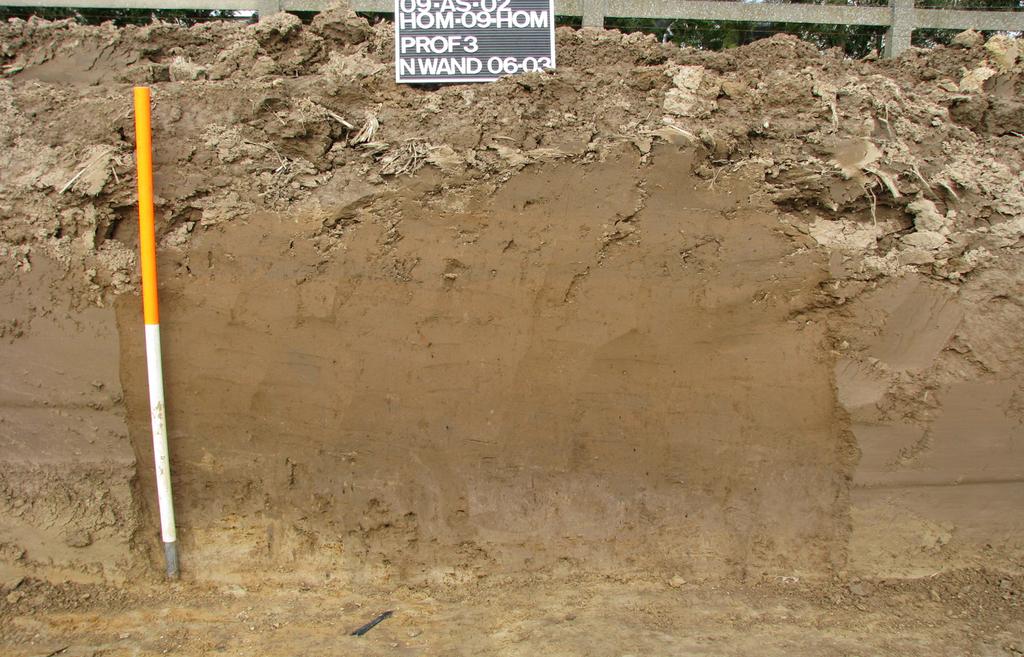 10 Archeologisch onderzoek te Hombeek - Hombekerkouter Afbeelding 4: Profiel 3 (N-wand) Profiel 3 stemt overeen met bodemtype Ldc.