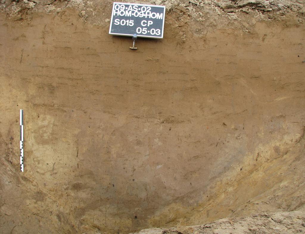 12 Archeologisch onderzoek te Hombeek - Hombekerkouter 5.1.2 Leemextractiekuilen S15 bevindt zich ter hoogte van de oostelijke profielwand en kan geïnterpreteerd worden als leemextractiekuil.