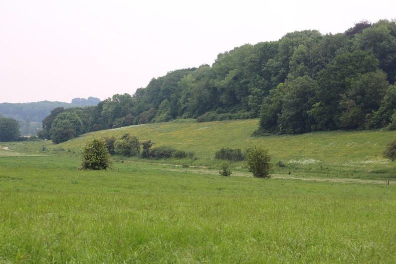 Voor meer informatie over ontwikkeling en beheer van kruidenrijke akkers zie onderstaande rapporten van Natuurmonumenten: http://www.eichhorn-ecologie.