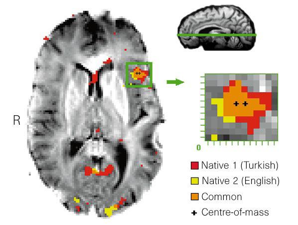 Source: Kim et al.