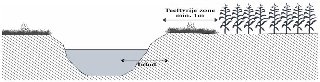 Teeltvrije zone 1 meter Verhoopte verbetering waterkwaliteit blijft uit => extra maatregel Geen bodembewerkingen tot op 1 meter afstand