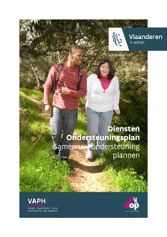 DIENSTEN ONDERSTEUNINGSPLAN (DOP) Trap 1 Per provincie 1 dienst ondersteuningsplan Voorwaarden persoon met (vermoeden van) een