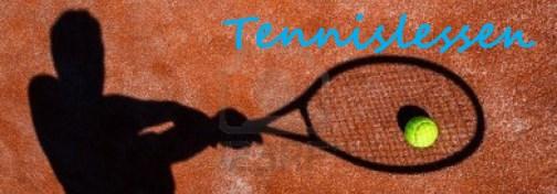 125 Euro 5 privélessen halfuur (2 personen) ad. 62,50 Euro per persoon 5 groepslessen uur (maximaal 4 personen) ad. 62,50 Euro p.p. bij 4 personen 5 privelessen therapeutisch tennis ½ uur (1 of 2 personen) ad.