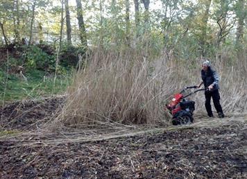 Limmen winterklaar In het eerste weekend van november was zoals gebruikelijk het werkweekend in Limmen.