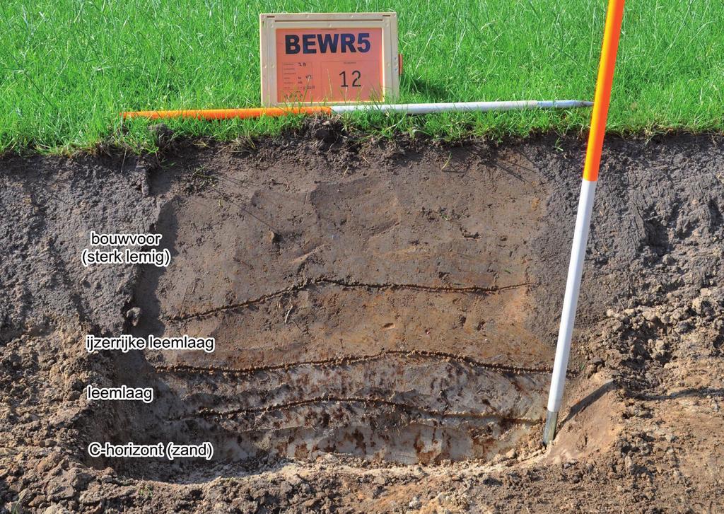 RAAP-RAPPORT 60 Berkelproject fase 4 deel 2 (zones en 3) gemeente Berkelland Figuur 8. De bodemopbouw ter hoogte van zone.