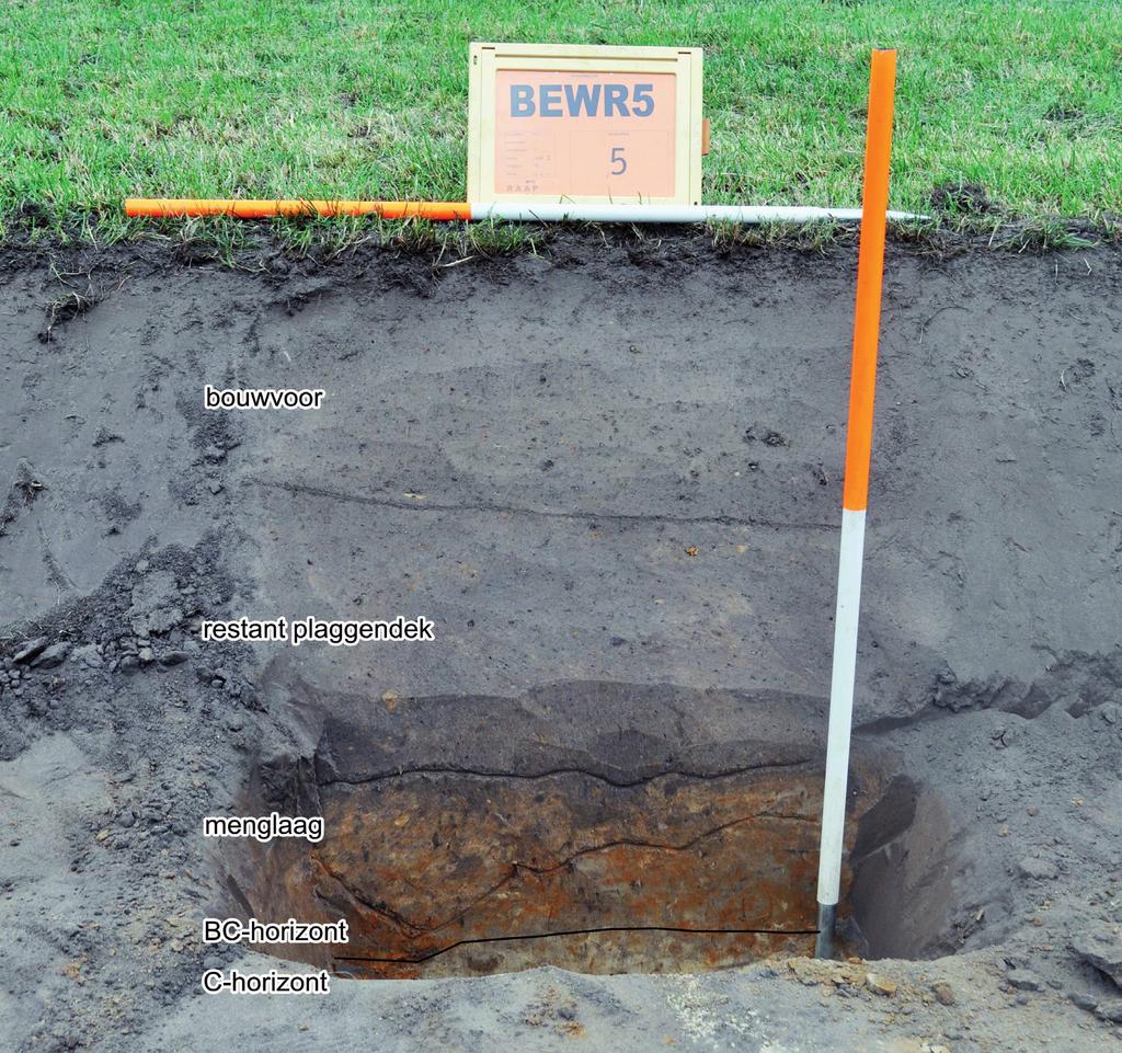 RAAP-RAPPORT 60 Berkelproject fase 4 deel 2 (zones en 3) gemeente Berkelland Figuur 9. Het profiel in het hoger gelegen deel van zone. laag met matig grof zand en kleibanden aangetroffen.