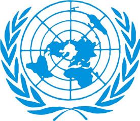 2 Toegankelijkheid en het VN-verdrag Mensen met een beperking kunnen zelf ook vragen om een aanpassing voor hun specifieke situatie.