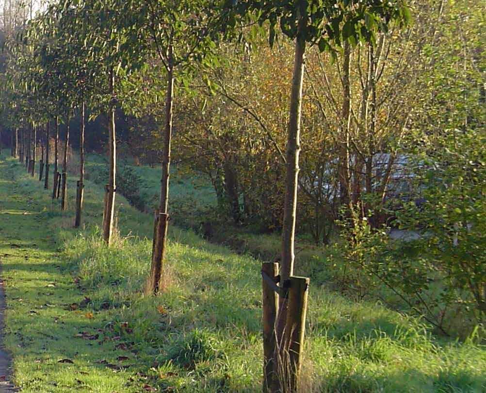 Natuur en Bos en externe experten. De samenstelling van de jury gebeurt minutieus en zal het belang en de ambitie van de projectoproep weerspiegelen.