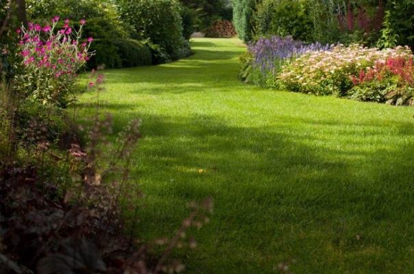 De plantenmarkt van de ZWO: gezellig, maar... We waren in de loop van de jaren gewend geraakt aan opbrengsten van rond de 1000 euro. Dit jaar viel de opbrengst tegen: 464,70.