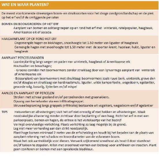 Figuur 6: Aandachtspunten vanuit handreiking aanplant op deze zandgronden (dit is een tekstuitsnede en geldt zowel voor bedrijven als woonlocaties) Om het onderhoud in de toekomst te beperken is ook