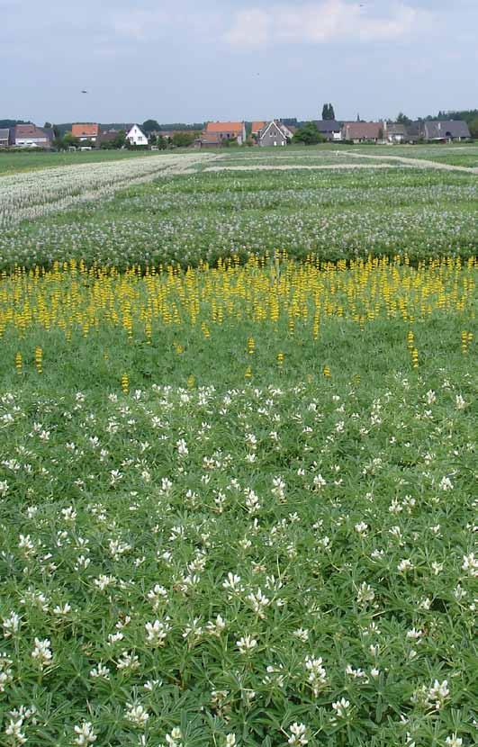 maar ook wat er op onderzoeksvlak rond biolandbouw gebeurt. We gaan na hoe het ilvo en de Vlaamse hogescholen onderzoek voor de biosector inbedden in hun programma s.