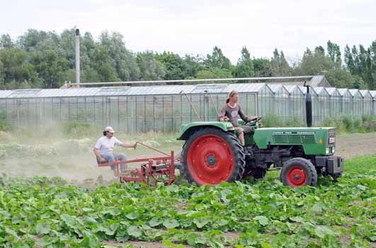 bouw. Die steeg behoorlijk in deze periode, met een hoogtepunt van het areaal net geen 3700 ha in 2002.