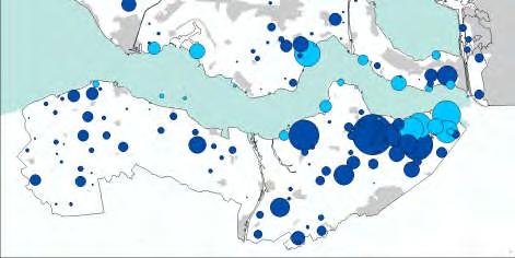 Het aantal getelde Soepganzen nam voor het vierde opeenvolgende jaar af. De grootste groepen werden gemeld tussen Buttinge en Middelburg (47) en de Bewester Eedepolder-zuid WZVL (35).