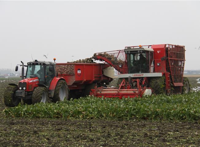 Onkruidbeheersing met FAR system