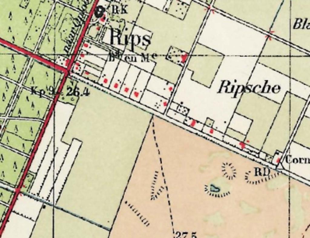 Het ontginningsdorp De Rips werd in de navolgende jaren gesticht; in 1936 werden diverse