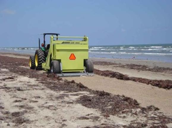 Sargassum oogsten en benutten Nu verwijderen en verzamelen op stortplaatsen. Nieuwe methodes voor verwijdering voortdurend geïntroduceerd.