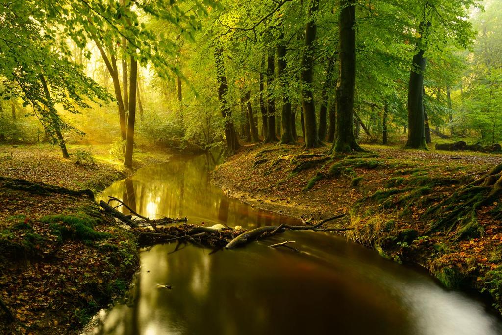 De ecologie onderzoekt de samenhang van levende wezens met elkaar en hun omgeving.