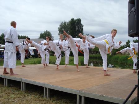Karatedemonstratie Argusfestival Op 13 juni heeft een delegatie van ASK een