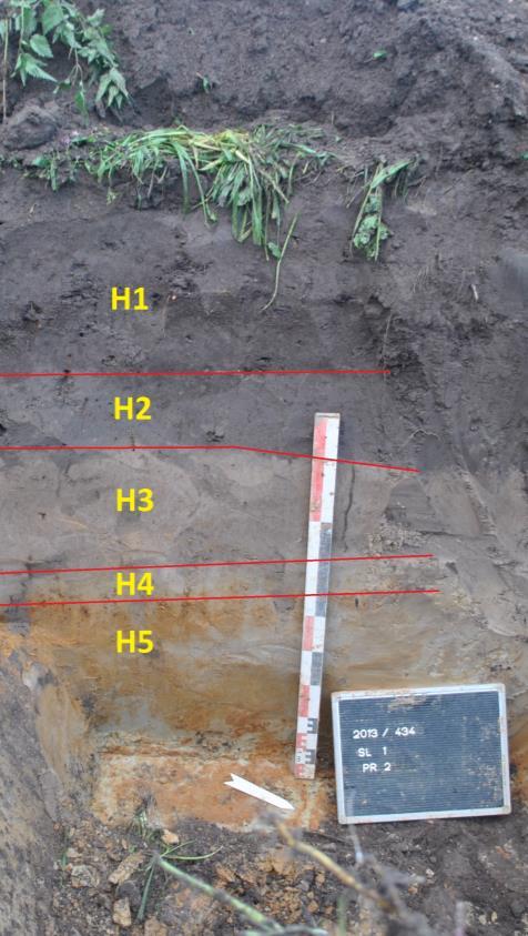 Bijlage 5 Profielbeschrijving A. Profiel 1 (Referentieprofiel 1) 1. Algemene gegevens 1. Beschrijver: Michiel Steenhoudt, Studiebureau Archeologie. 2. Soort onderzoek: Archeologisch: Proefsleuven 3.