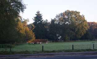 Houd Uddel los van de bosrand. Maak bij traditionele woningen van de tuin en de woning een eilandje in het bos. Laat de randen bossig en werk eventuele hekwerken daarin weg.