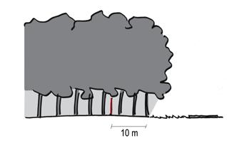 INTERMEZZO Hekwerken en rasters Een eenvoudig (boeren)hek past bij het landelijk gebied.