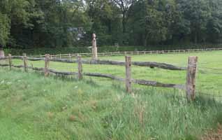 Probeer paardenlinten te voorkomen door een streekeigen haag of een hek te gebruiken.