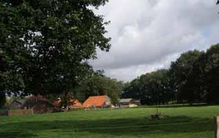 Voeg aan de achterzijde van erven aan de rand van de enk landschappelijke hagen toe om een duidelijke overgang naar de enk te maken.