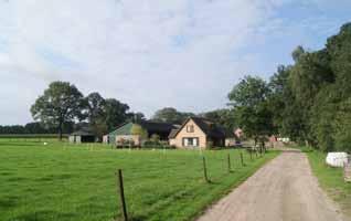 Plant geen wegbeplanting op de enk. Plant aan rand van de enk wegbeplanting aan één zijde.