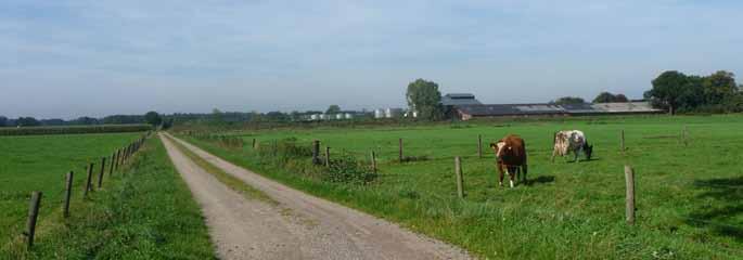 Sluit bij de tuininrichting aan op het omringende landschap en laat de voortuin elementen bevatten van een boerderijtuin.