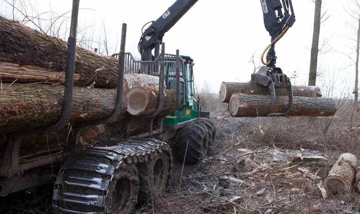 Tabel 1. Kernvariabelen van het Nederlandse bos, gegroepeerd naar de hoofdboomsoort van het steekproefpunt.