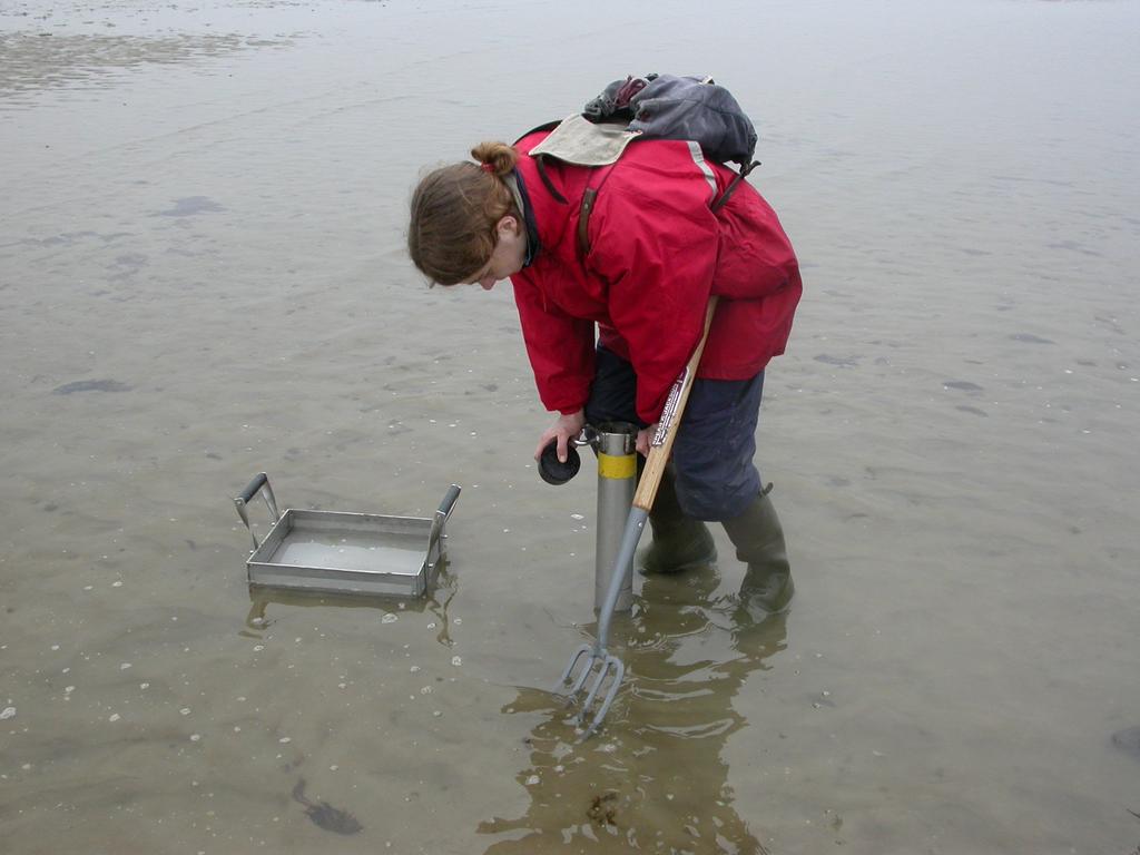 Centrum voor Estuariene en Mariene