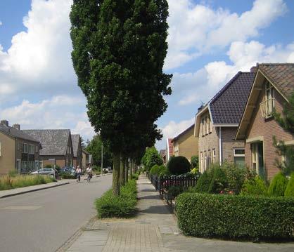 In het grid vormen Zijveld, Zandstraat en Beatrixstraat samen met de Van Heemstraweg de dorpsruit, die heel belangrijk is voor de afwikkeling van het verkeer van en naar het centrum.