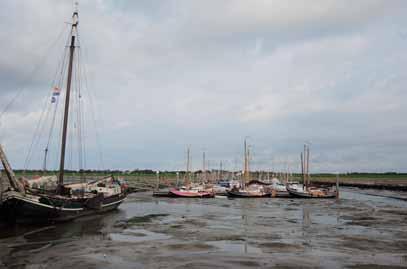 Daarnaast hebben de veerboten, vaargeulen en jachthavens een niet weg te denken rol in de toeristen-economie. Maar havens en scheepvaart beïnvloeden de natuurlijke omgeving van de Waddenzee.