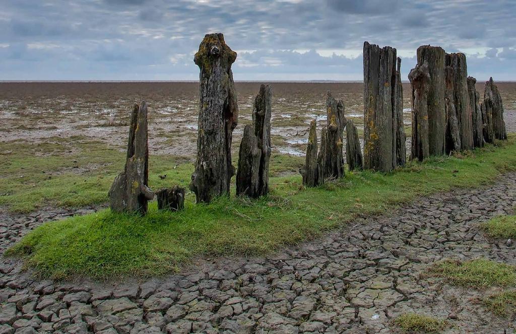 Inleiding Stel je eens voor. Een Rijke Waddenzee in 2030 waar hemel en aarde het toneel delen. Door de oogharen heen zien we een zee vol rijkdommen met schoon water en uitgestrekte schelpdierbanken.