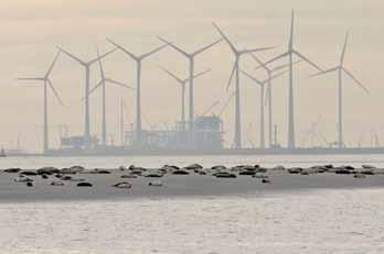 In de zomer is vervolgens de eerste verkenning uitgevoerd naar de mogelijkheden van een spoelmeer.