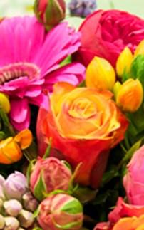 CHIKKEN I.S.M. DAGBEGELEIDING Vindt u het leuk om creatief bezig te zijn met bloemen? Dan is bloemschikken wellicht iets voor u!