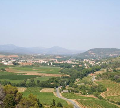 Een fenomeen uit Saint-Chinian Alain Jougla is een begenadigd wijnmaker in het Zuid-Franse kwaliteitsgebied Saint- Chinian.