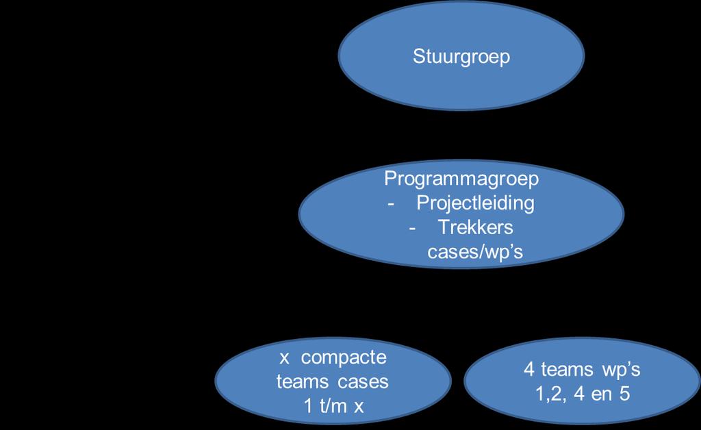 3. Organisatie Structuur van de organisatie Binnen de organisatie van ROBAMCI worden 3 lagen onderscheiden.