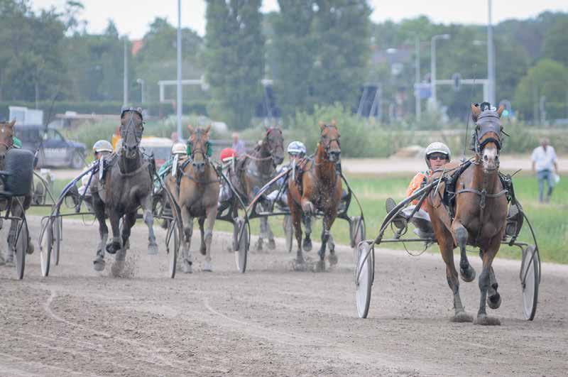 PROGRAMMA WOLVEGA (17), ZATERDAG 15 SEPTEMBER 2018 5 CHAMPIONNAT D ÉTÉ (FINALE TF DIAMOND CHALLENGE) 13.05 U. Draverij van meet voor Franse paarden.