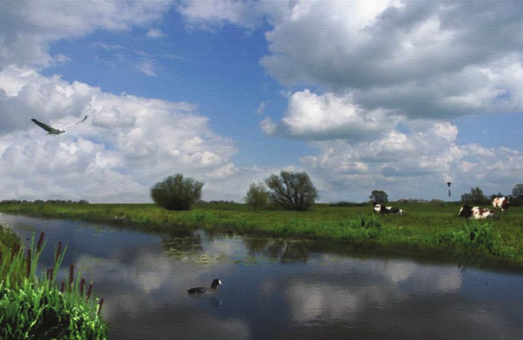 Fotomontage opschonen streng Eenzijdige aantakken nevengeul Object Actie Verantwoordelijk Financiering Aanleg Nevengeul Aanleggen en aantakken op IJssel en hank conform KRW profiel RWS-PDR Waterschap