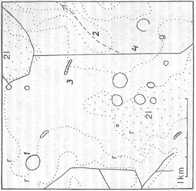 Het reliëf in een natuurrijk gebied oostelijk van Borger (1969) 13 1. markante schotelvormige depressie, 2. smeltwaterdalletje, 3. markant zandruggetje, 4.